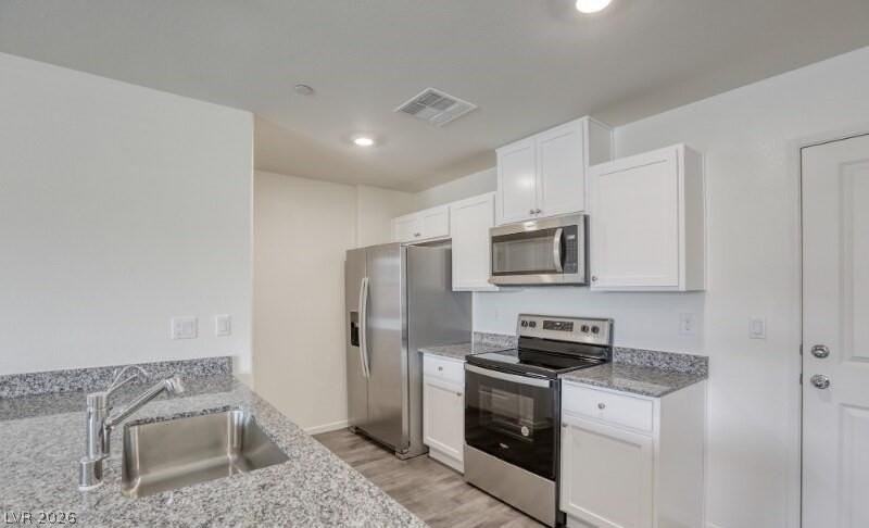 1161 Meadow Sparrow Pl - Photo 4 of 19