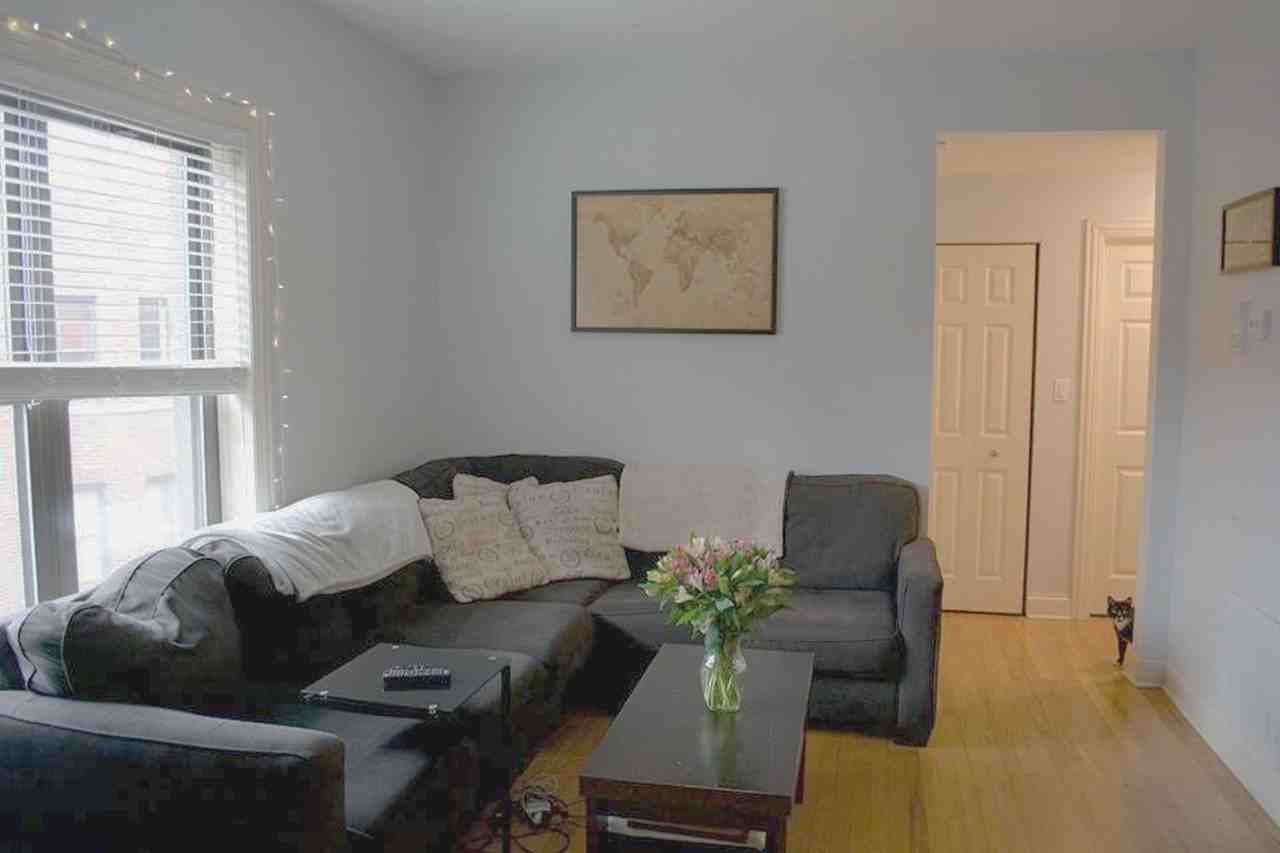 903 W Cornelia Ave #3N - Photo 5 of 9