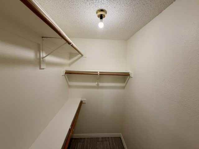 2604 Crix Ln - Photo 6 of 13