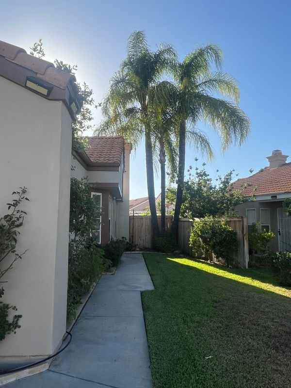 28098 Lemonwood Dr - Photo 4 of 50