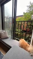 445 W 19th St - Photo 1 of 1