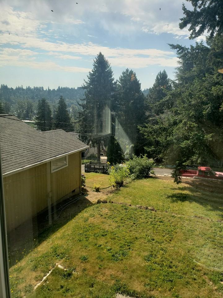 2336 5th Ave #NA - Photo 2 of 17