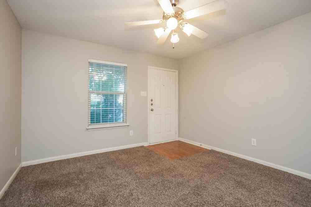 3922 Hollow Cove Ln - Photo 4 of 15