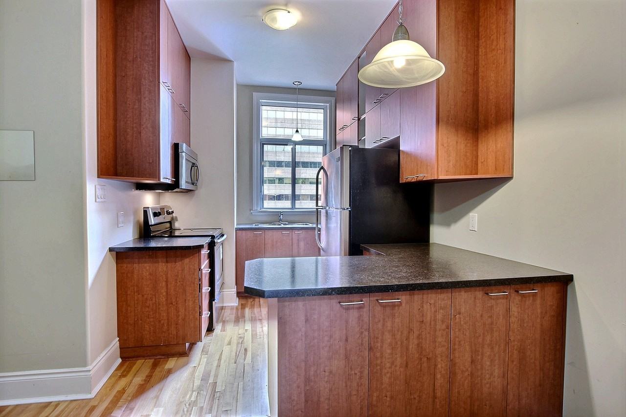 4235 Rue Saint-Urbain - Photo 3 of 15