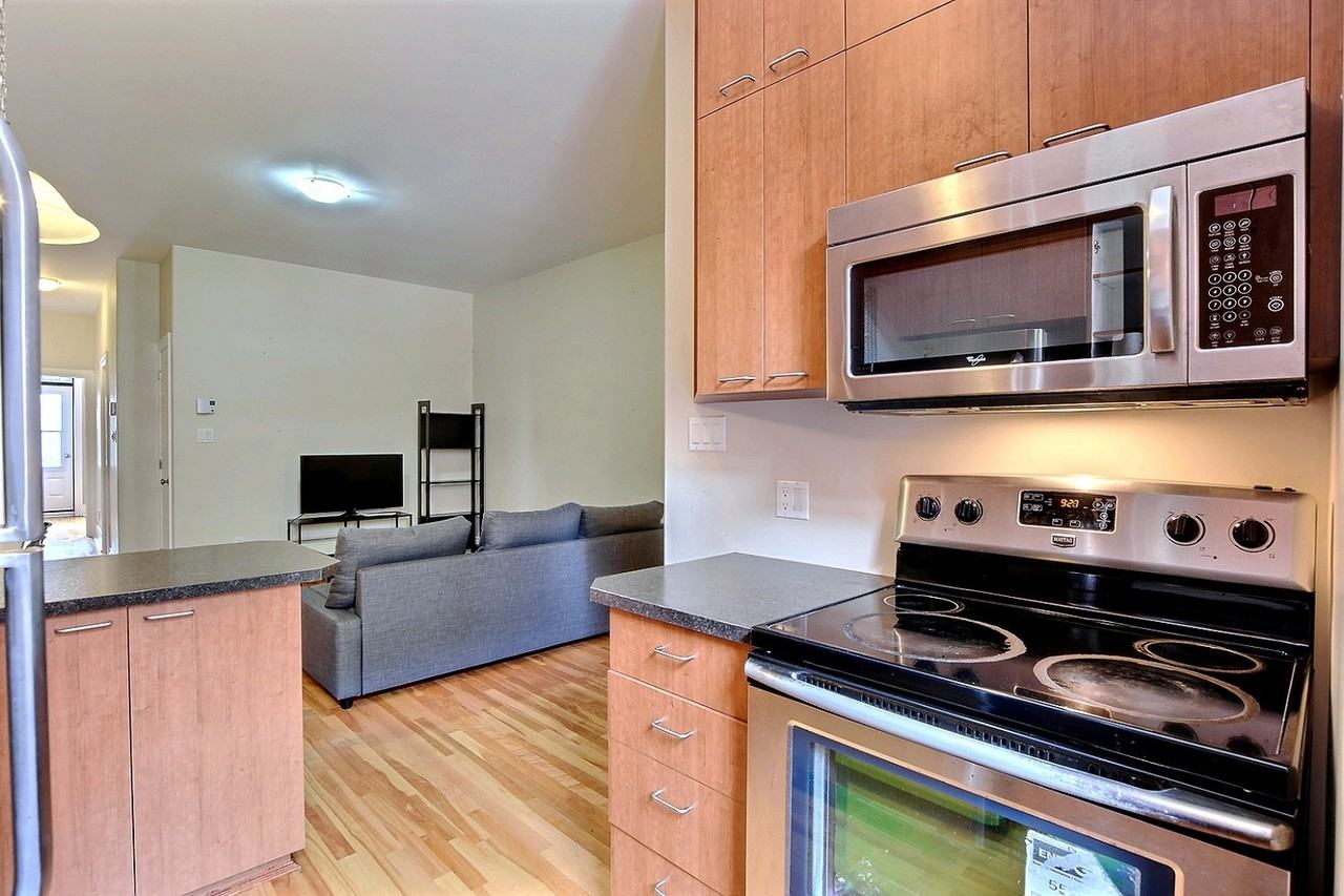 4235 Rue Saint-Urbain - Photo 4 of 15