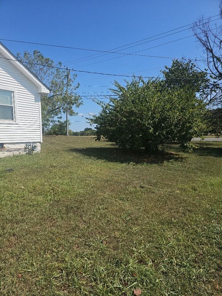 1251 S Dickerson Rd - Photo 3 of 23
