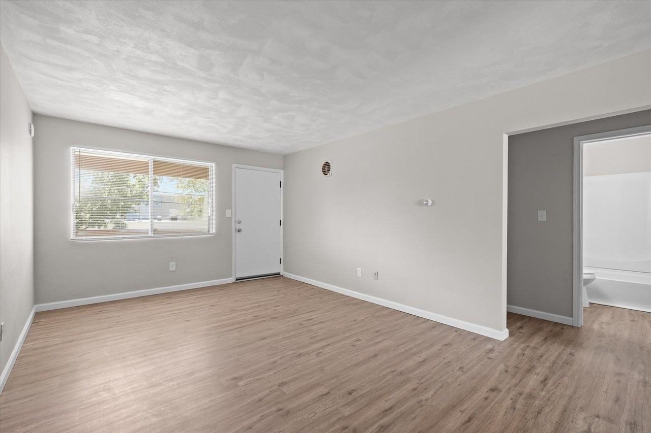 1000 Olive St #214 - Photo 3 of 8