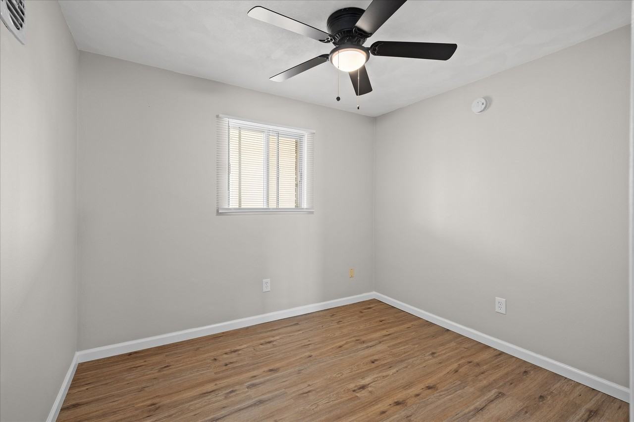 1000 Olive St #214 - Photo 5 of 8