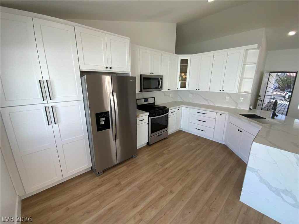 679 Scenic Tierra Ln - Photo 4 of 16