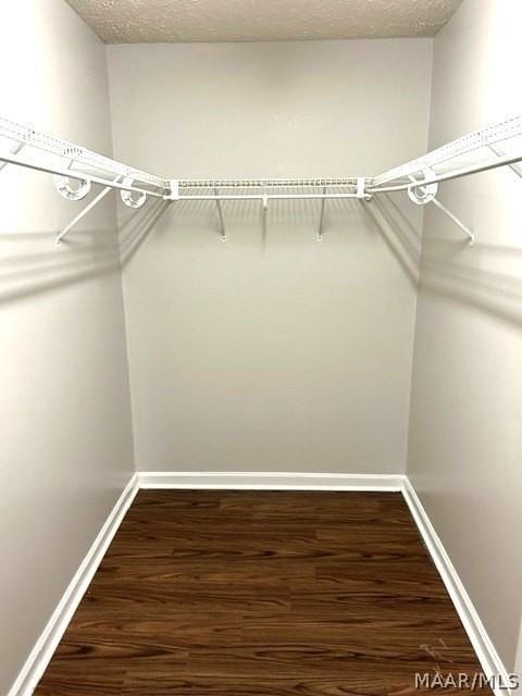 6724 Patti Ct - Photo 5 of 17