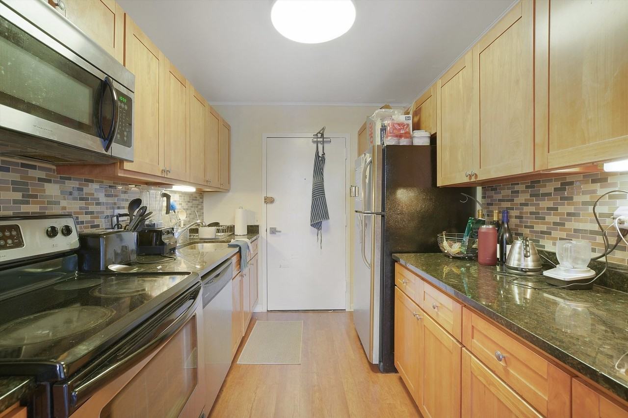 1555 N Sandburg Ter #201 - Photo 6 of 25