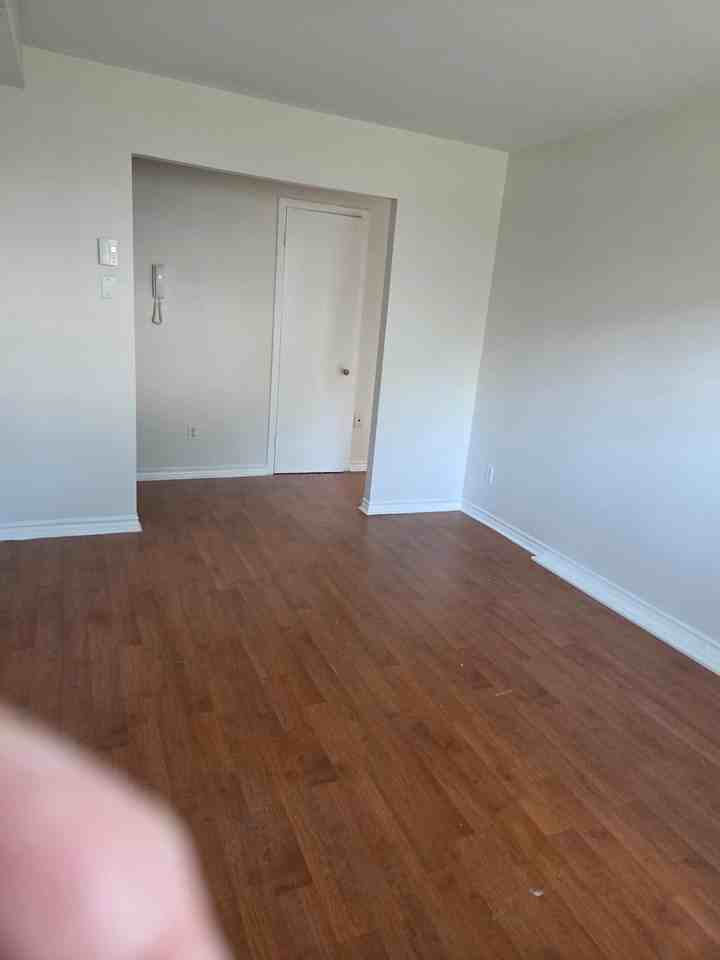 2625 Avenue Aubert - Photo 3