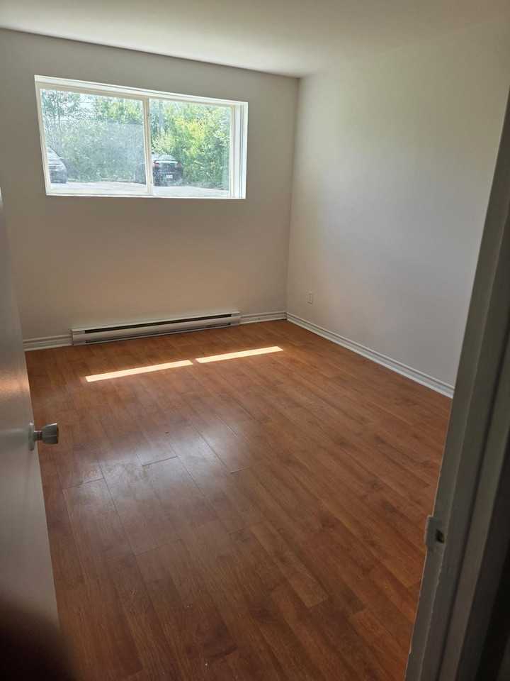 2625 Avenue Aubert - Photo 5