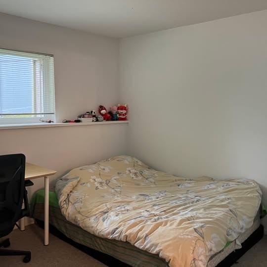 Citadel Dr & Pitt River Rd - Photo 5 of 14