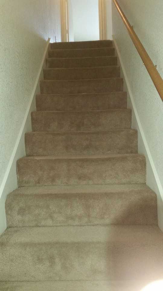 3204 HEREFORD LANE - Photo 5 of 37
