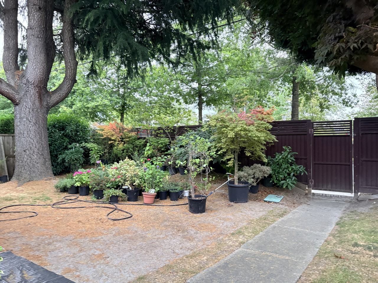 11291 Steveston Highway - Photo 5 of 9