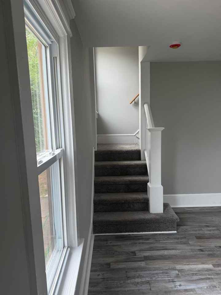 217 Abbey Ln - Photo 4 of 24