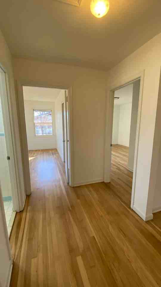 2517 Piney Branch Rd Nw - Photo 4 of 27
