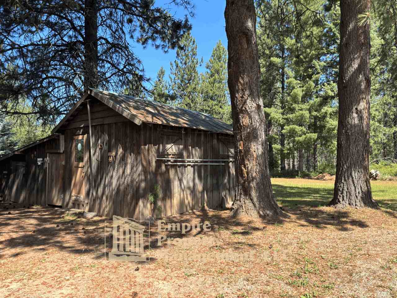 10239 Baldy Mountain Rd #1 - Photo 4 of 21