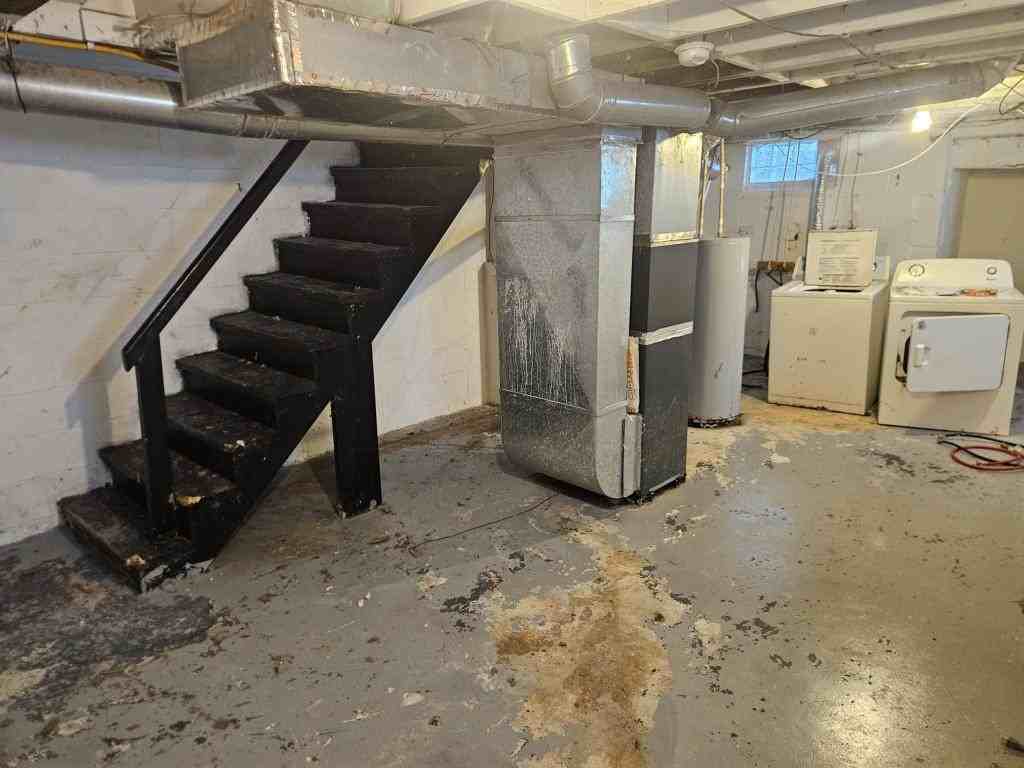 60 N Waverly St - Photo 7 of 24