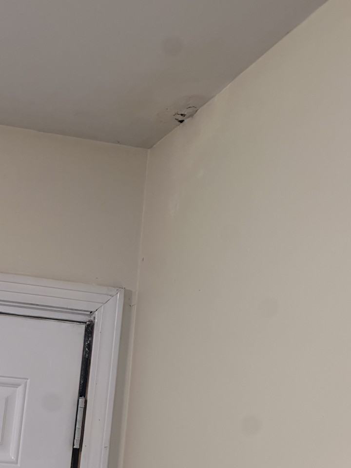 8129 2nd Ave S #A - Photo 2 of 11