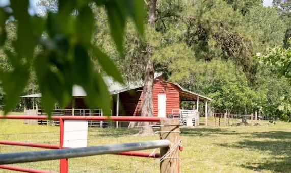 1228 Sam Brown Rd - Photo 4 of 8