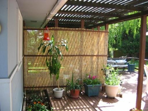 874 Glendale Ave - Photo 4 of 10