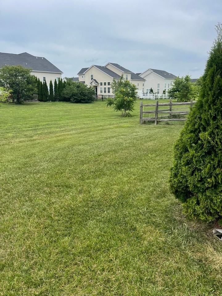 249 Rossnakill Rd - Photo 7 of 50