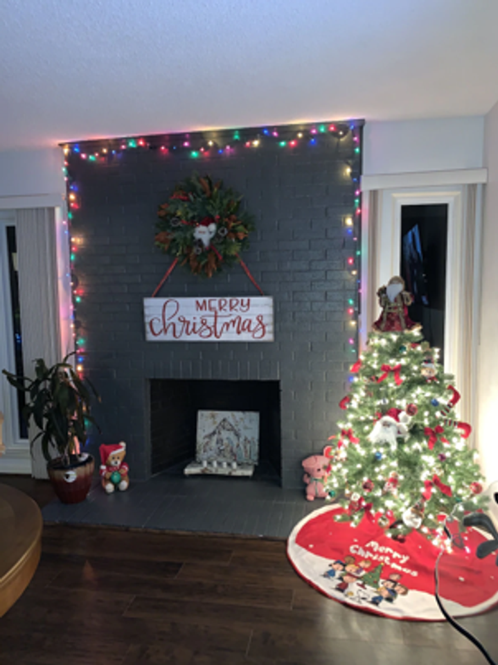 250 250 Sugar Plum Lane - Photo 2 of 32