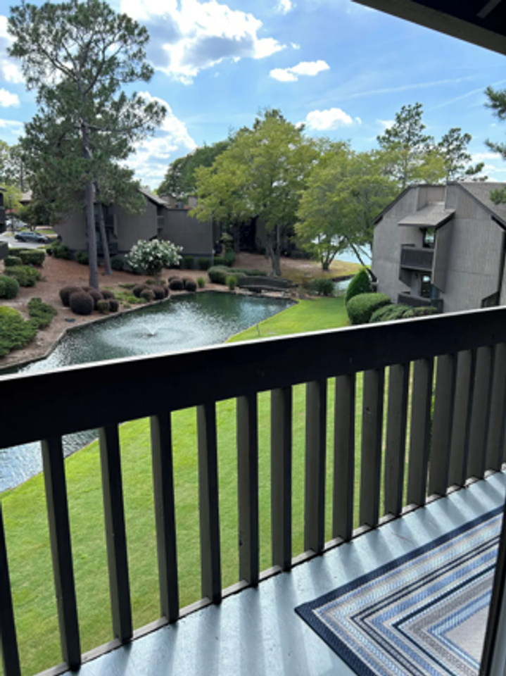 250 250 Sugar Plum Lane - Photo 4 of 32