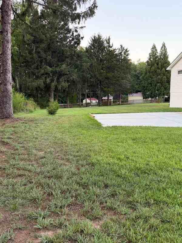 2314 Cox Rd - Photo 3 of 44