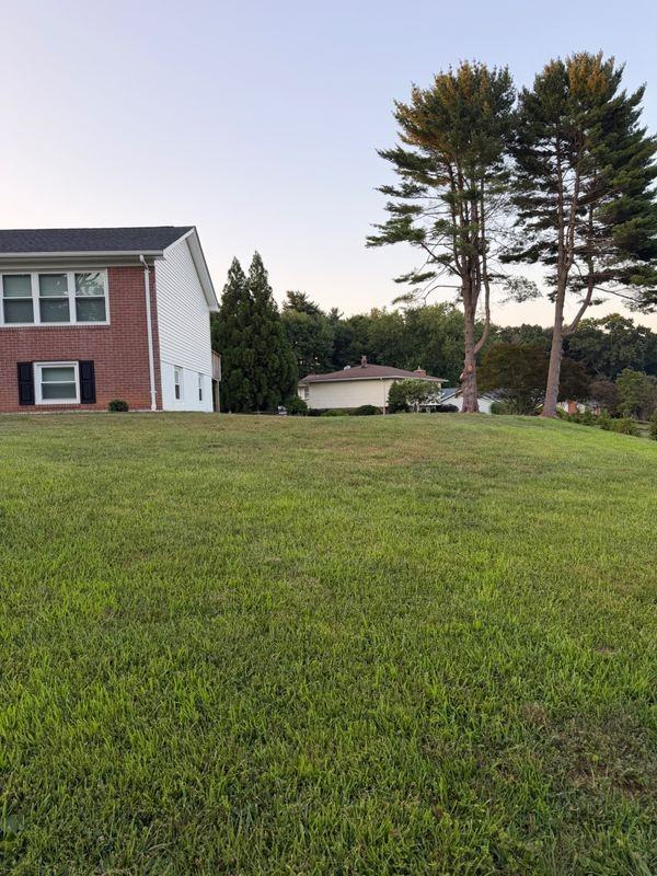2314 Cox Rd - Photo 5 of 44
