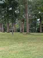 featured image of 236 Nottoway Dr