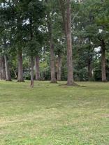 236 Nottoway Dr - Photo 1 of 1