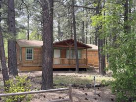 2825 Pinon Pine Dr - Photo 1 of 1