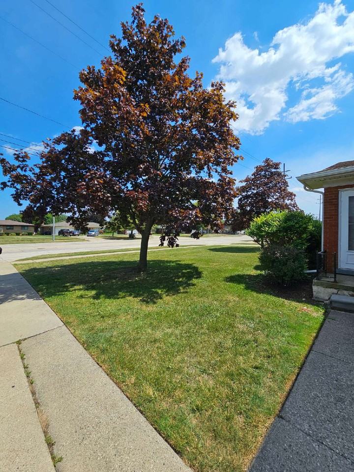 28555 Little Mack Ave - Photo 4 of 34