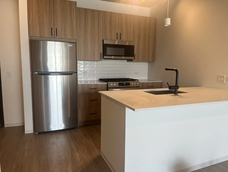 1700 S Michigan Ave #1616 - Photo 3 of 5
