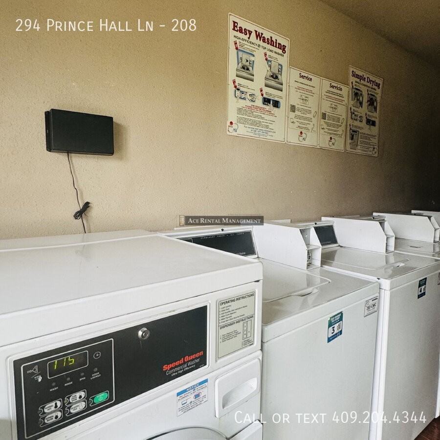 294 Prince Hall Ln #208 - Photo 4 of 21