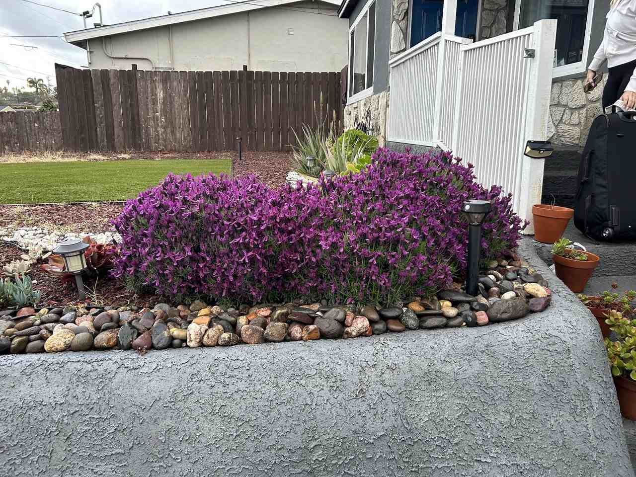 5197 Olvera Ave - Photo 2 of 15