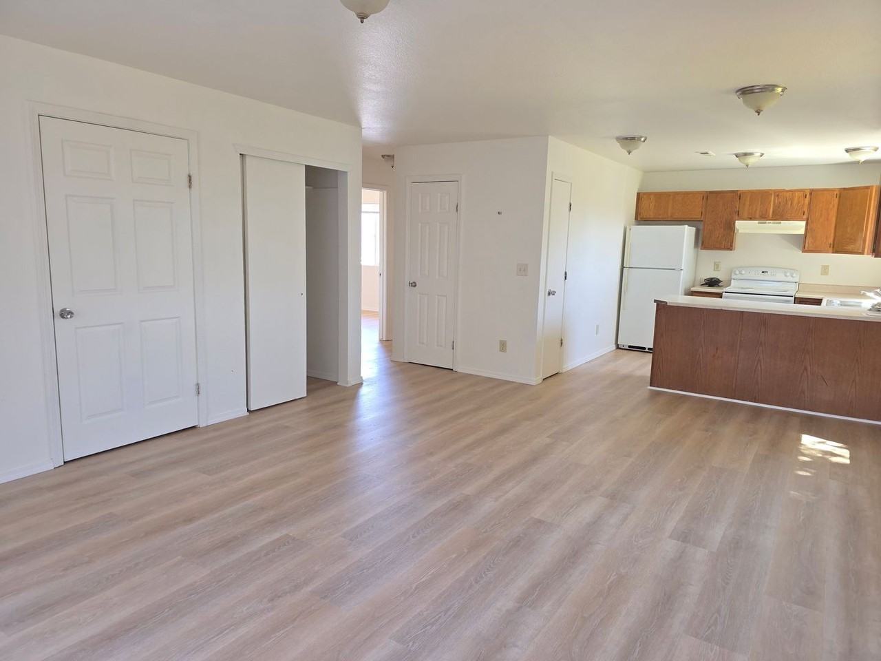 1033 Pacific Ave - Photo 3 of 11