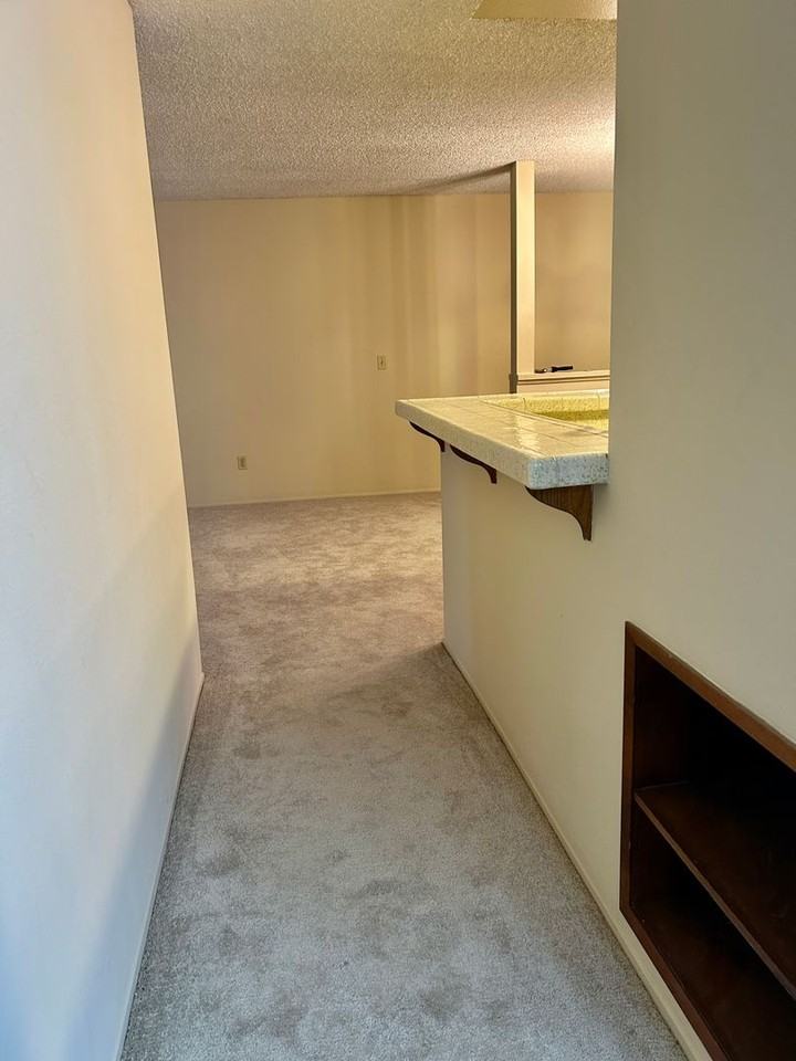 2609 Pico Pl #224 - Photo 6 of 15