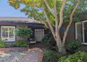 featured image of 136 Peacock Dr