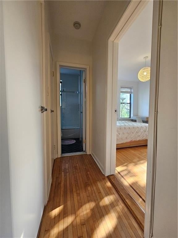 460 Ovington Ave #5G - Photo 4 of 7