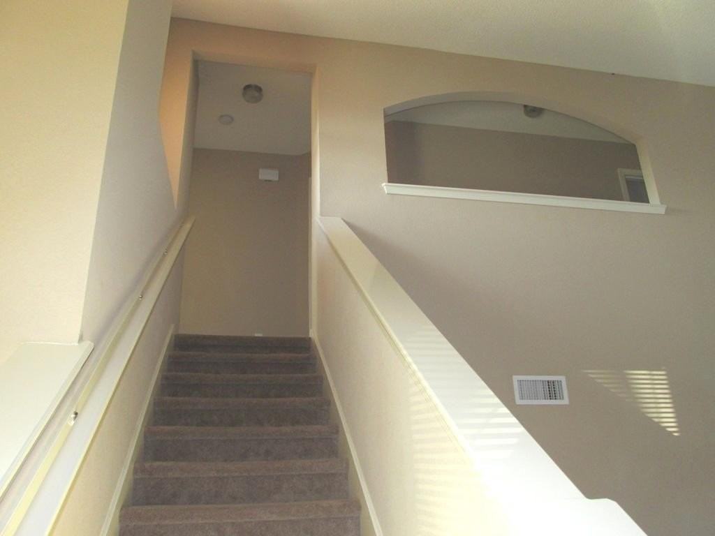 11728 Mesquite Bush Dr - Photo 7 of 22