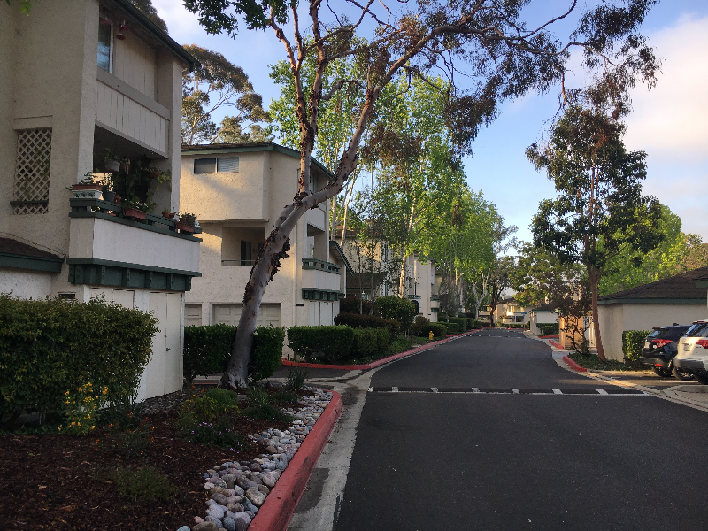 3199 Evening Way - Photo 3 of 34