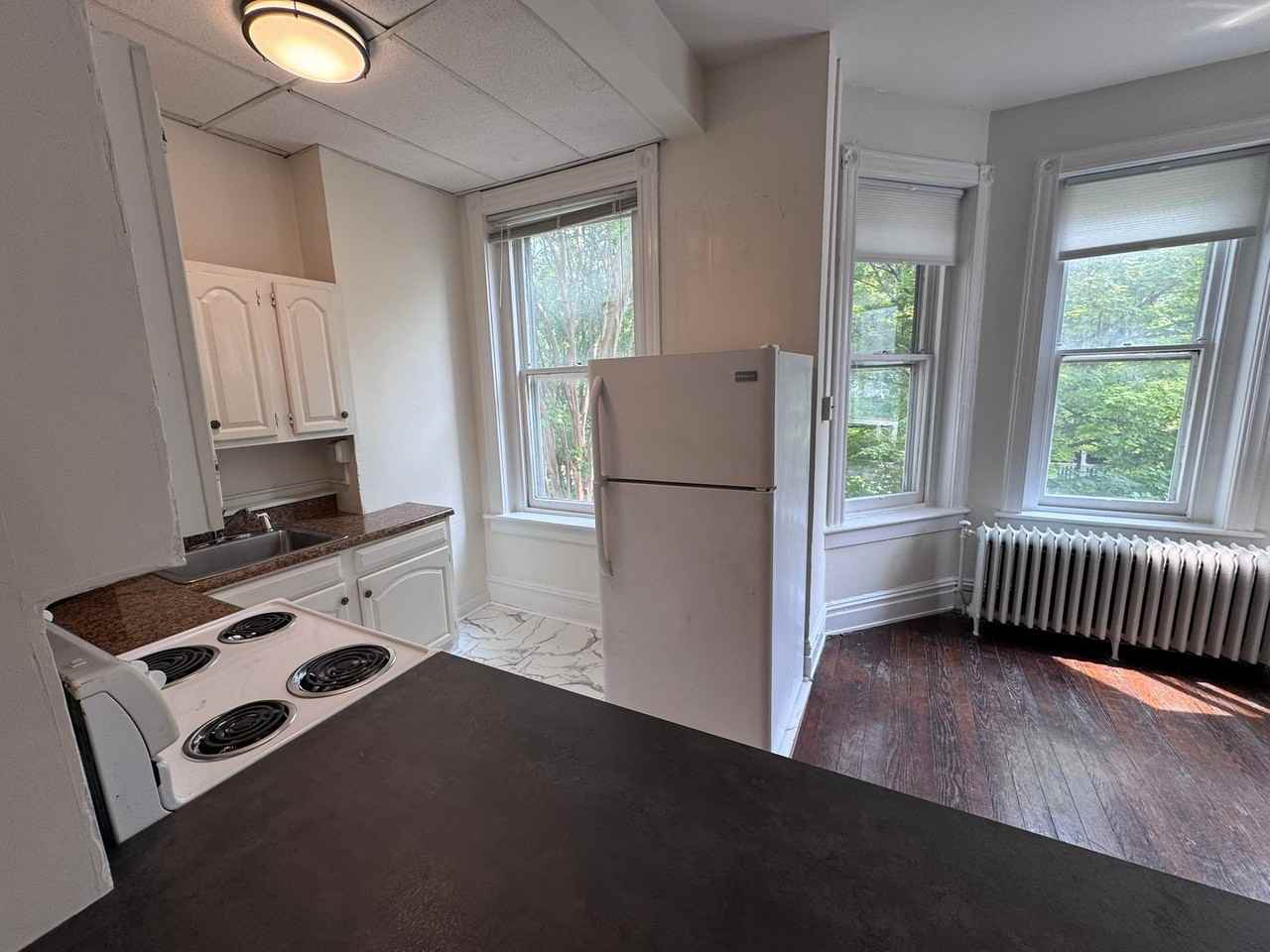 1613 W Grace St #2 - Photo 5 of 17