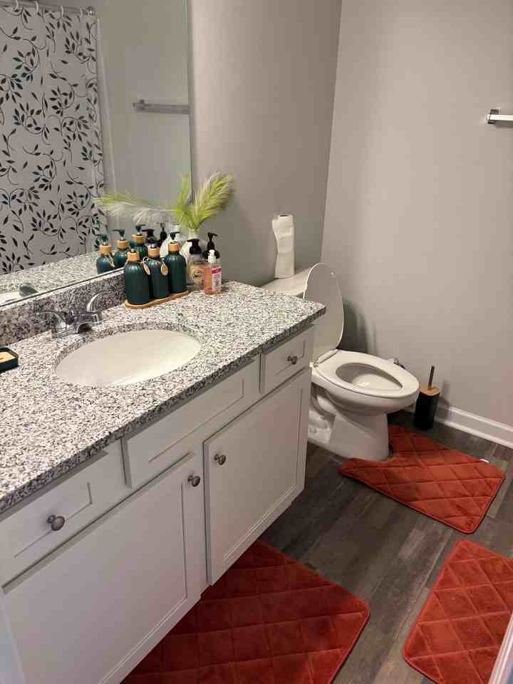 7015 Old Bridge Ln - Photo 5 of 16