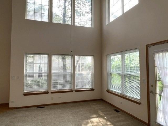 1457 Sturgeon Bay Ct - Photo 3 of 13
