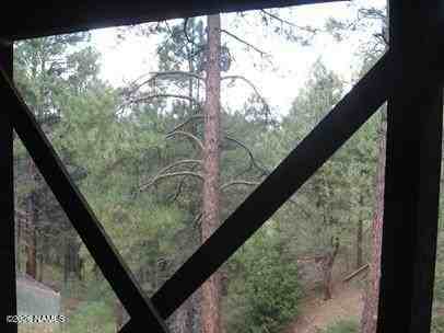 2791 Burro Springs Ovi #B - Photo 4 of 7