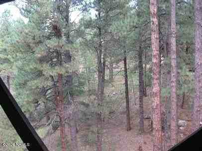2791 Burro Springs Ovi #B - Photo 6 of 7